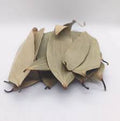 Solero Bay Leaf 20g