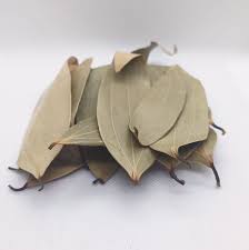 Solero Bay Leaf 20g
